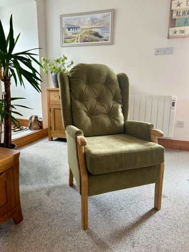 Green upholstered armchair with wooden arms in a bright, cosy room.